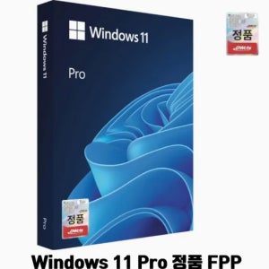 마이크로소프트 윈도우 11 프로 FPP(Windows 11 Pro FPP) 처음사용자용 한글 USB 패키지