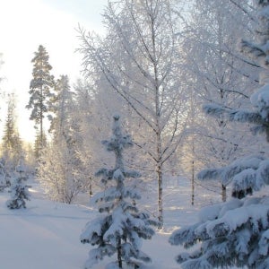 북유럽 4국 10일패키지 여행 인솔자동반 베르겐관광 숙박 스칸디나비아 항공 스칸디나비아항공 5월20일출발