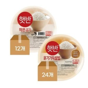 햇반 윤기가득쌀밥210gX24개+ 햇반 백미130g X12개