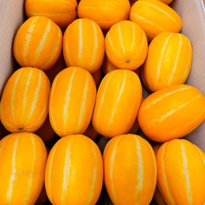 [자연의정] 성주 참외 고당도 정품 로얄과 2kg (실중량)