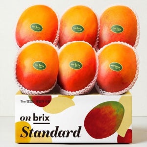 온브릭스 프리미엄 고당도 애플망고 택1