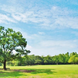 오사카4월여행 단체여행 일본 일본투어 아라시야마산책 1일자유