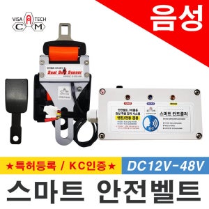 스마트 안전벨트 시스템