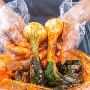 달큰한 햇양파줄기김치