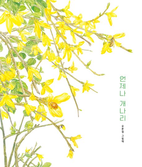 [26년 4월]언제나 개나리