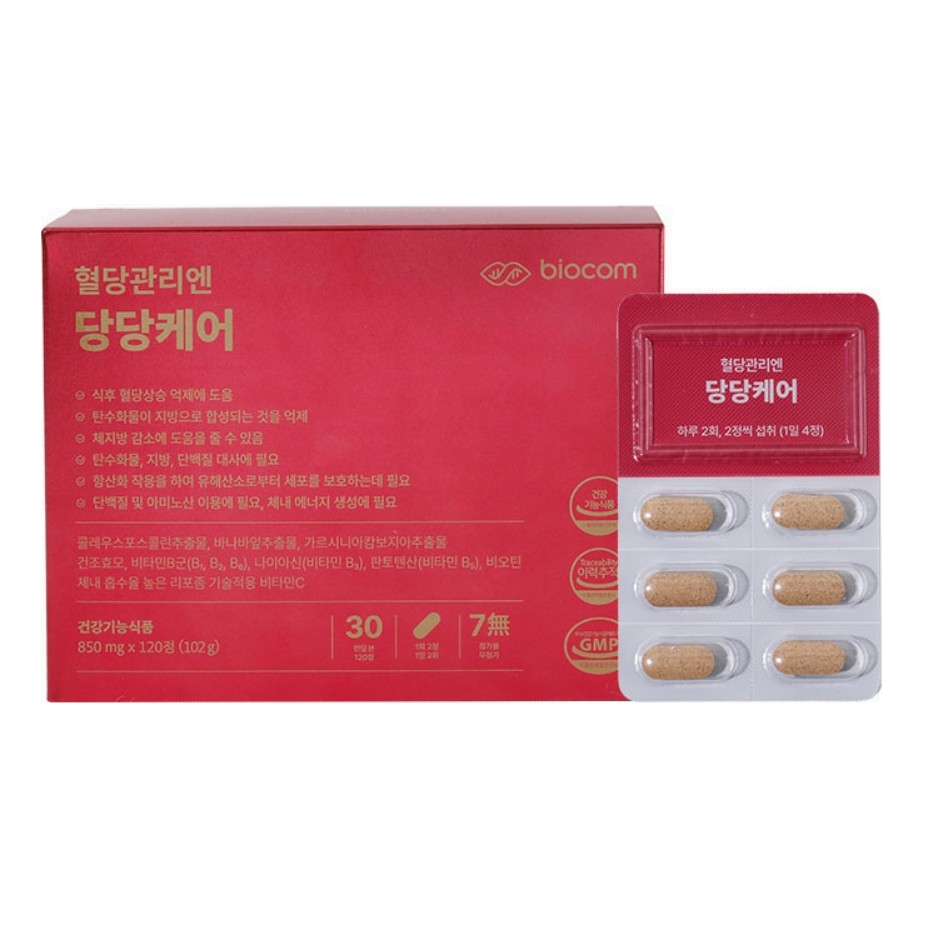 C 서포터