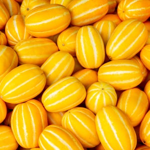 농사꾼 부부의 40년 비결 오복 참외 2kg(6-12입)