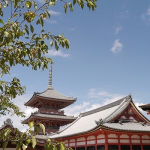 대욕장호텔 출발임박특가 벚꽃철 일본오사카 오사카 특가여행 2박3일 주말여행가능 쓰텐카쿠 전망