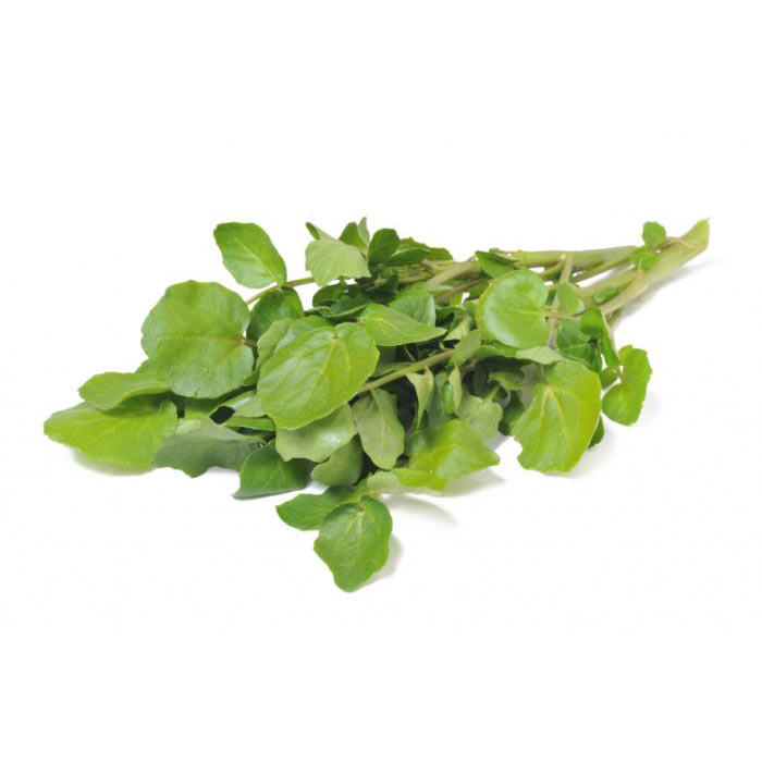 크레숑 300g <b>물냉이</b>  워터크레스  가락시장 직송