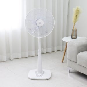 레이나 16인치 가정용 사무용 스탠드 선풍기 RF-1616 / 5엽날개 3단풍량조절