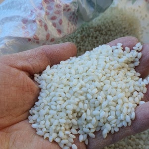 [영주장터농원]미네랄농법 으로 직접 재배한 백옥찹쌀 10kg