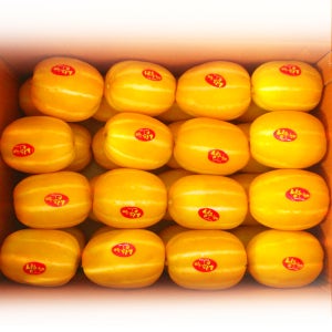 [성주참외농장] 성주초전참외 10kg(25-39과)특품