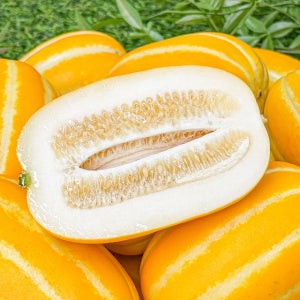 [햇 성주참외 6900원!!] 맛난이!! 꿀당도 가정용 맛난이 성주 참외