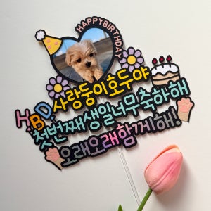 생일토퍼 강아지 고양이 애완동물 생일 케이크 토퍼 제작, 설렘작업소