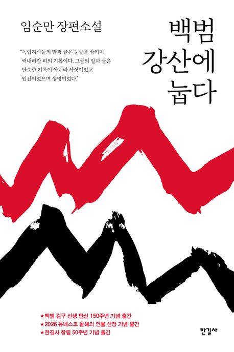 백범 강산에 눕다 : 임순만 장편소설