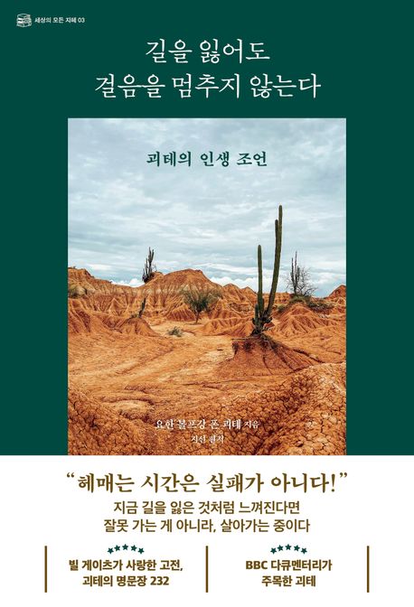 길을잃어도걸음을멈추지않는다:괴테의인생조언