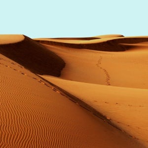 13박15일, 5박7일 관광 사파리 사진가이드 사파리 탄자니아패키지여행 환갑/칠순기념
