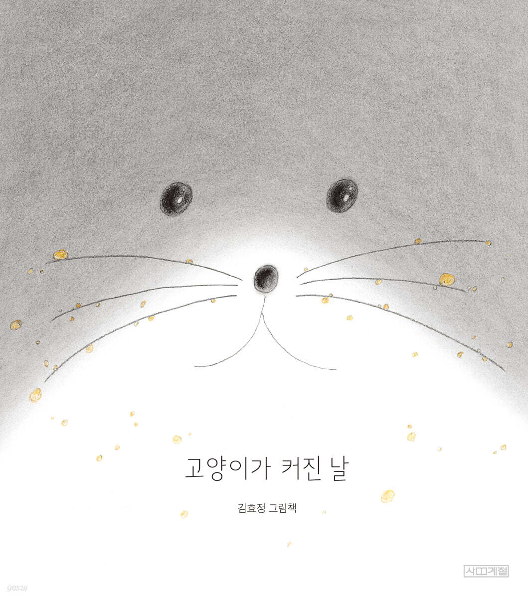 고양이가커진날