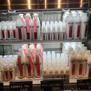 노랑풍선 후쿠오카3일 패키지 여행 유후인 구마모토 나카스크루즈 티웨이항공 6월5일출발