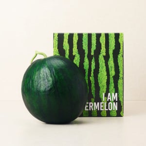 [새벽에On] 봄에 느끼는 진한 달콤함, 고당도 함안 흑수박 4kg / 5kg (12brix/1통)