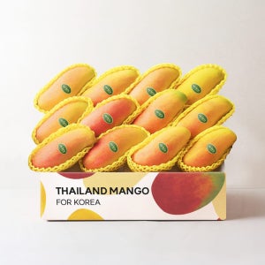 [새벽에On] 프리미엄 마하차녹 무지개망고 1.4kg / 2kg / 4kg (로열과)