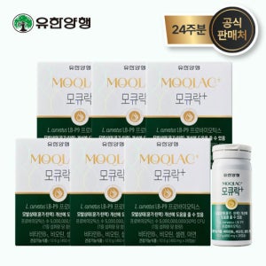 [모발특허유산균] 모큐락 플러스 LB-P9 와이즈바이옴 4주분x6병(총 24주분)
