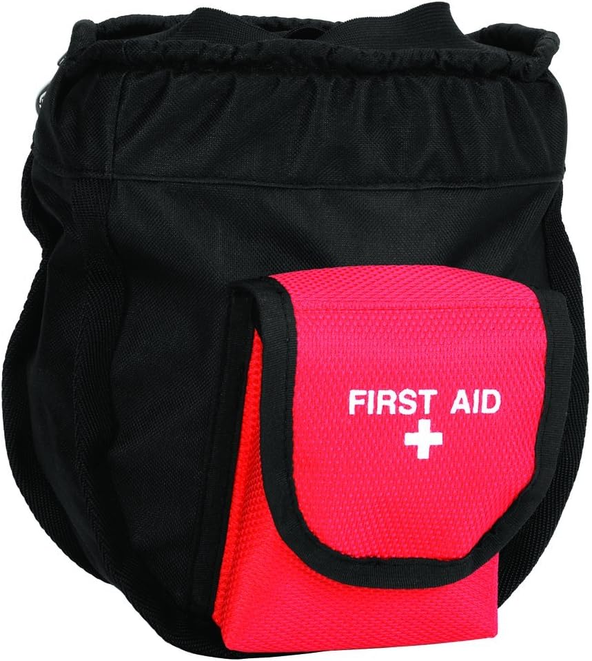 반려동물 응급처치 (Pet First Aid)