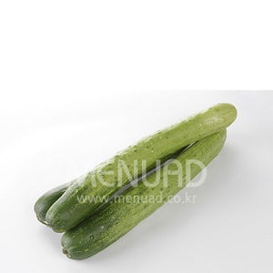 MA-107 오이