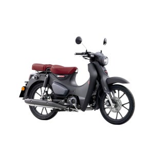 [월 구독] 혼다 슈퍼커브 C125 (2025) - 신차