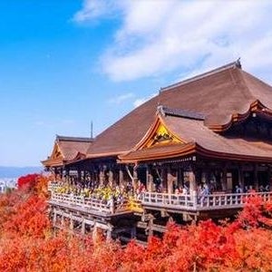 오사카4일 시내2연박 오사카,교토,아라시야마 2대특식 패키지 여행 이스타항공 5월18일출발