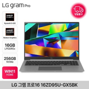 LG전자 그램 프로16 16ZD95U-GX5BK 라이젠 AI 5  에어로미늄 실버 144Hz 고성능 AI노트북 16GB 256GB WIN11 EDEN
