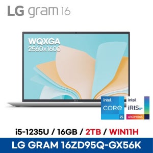 LG전자 LGgram 16ZD95Q-GX56K - 16GB 2TB WIN11H ED