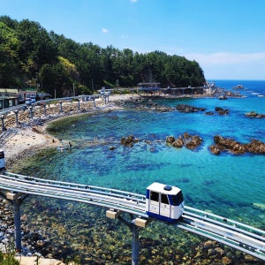 동해 포항 울산 국내여행 패키지 2박3일 [리무진버스]