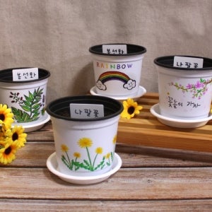 봄맞이 그리기 씨앗심기(4개세트) 식물키우기 자연관찰