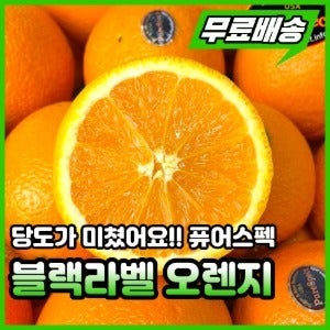 퓨어스펙 블랙라벨 오렌지