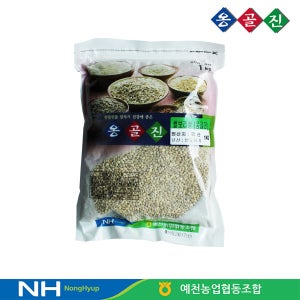 케이티알파쇼핑 예천농협 옹골진 국내산 쌀보리쌀 1kg