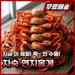 국내산 자숙 연지홍게