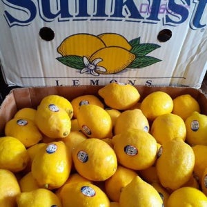 팬시 레몬 60과 대과 썬키스트 레몬 8.4kg 미국산 레몬 한박스 칠레산레몬 생레몬 미국
