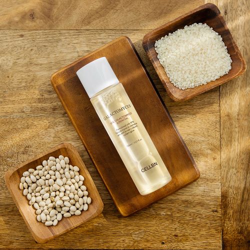 갈락토미세스나이아신