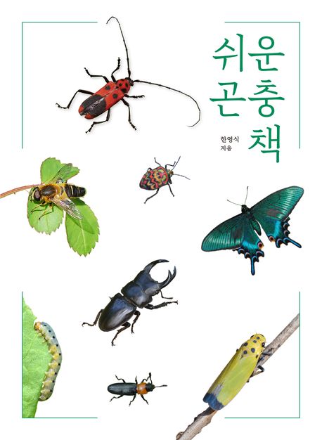 쉬운곤충책