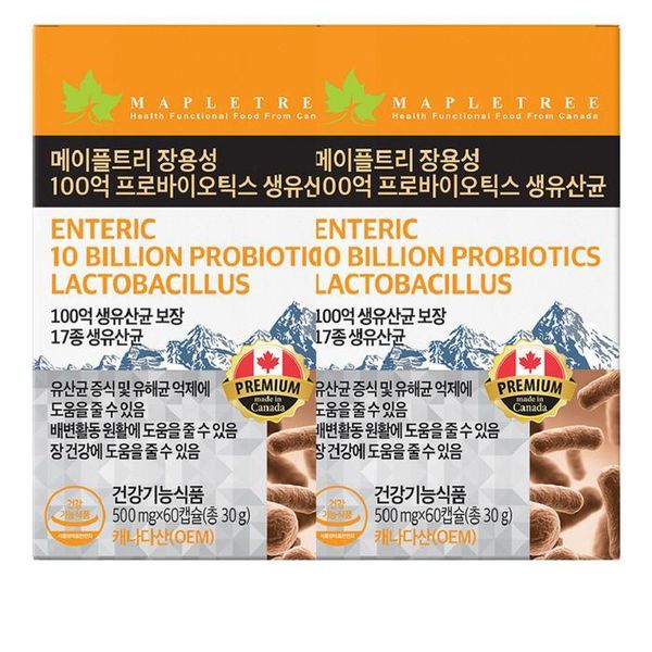 킹 프리미엄 프로바이오틱스 모유 생 유산균 500mg x 60캡슐 2개월분
