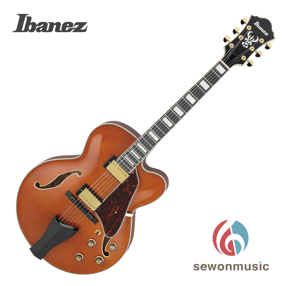 Ibanez 아이바네즈 일렉기타 AF95 할로우바디
