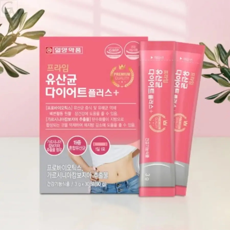 똥배에 선물로 좋은 체지방줄이는데 유산균 장건강 다이어트 가르시니아 영양제 아랫배튀어나올때