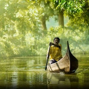 인도 코친 출발, 남인도 케랄라 7일 하이라이트 투어 숙박 포함 투어 (영어)