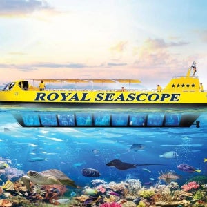 엘구나 홍해 로얄 씨스코프 잠수함 & 스노클링 엘 구나에서 출발: 스노클링 정거장이 있는 로얄 씨스코프 잠수함 성인(나이 12-99)