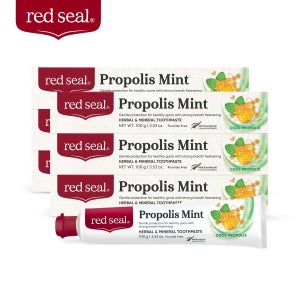 레드씰 인생치약 민트 프로폴리스 치약 100g 6개