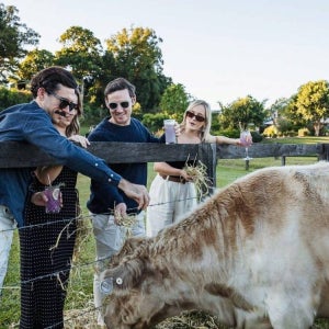 호주 트위드 허스크 럼 농장 투어 트위드의 허스크 럼 농장부터 병 투어까지 (영어)