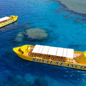 엘구나 홍해 로얄 씨스코프 잠수함 & 스노클링 엘 구나에서 출발: 스노클링 정거장이 있는 로얄 씨스코프 잠수함 성인(나이 12-99)