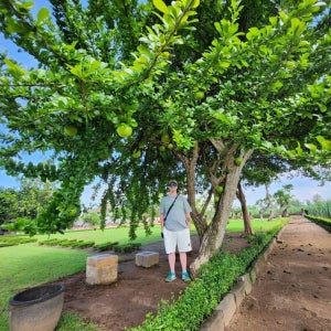 인도네시아 트로울란 마자파힛 왕국 유적 투어 호텔/공항 픽업 서비스 (영어)
