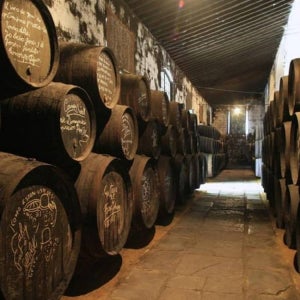 스페인 세비야 출발 카디스 & 헤레스 데 라 프론테라 데이 투어 Trajano 6: 오전 8시 45분 - 와이너리 포함 성인(나이 18-99)